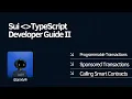 09 Sui TypeScript SDK Advanced