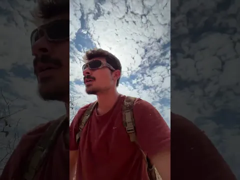 Uma concha no meio do Cerrado, uma planta que cresce apenas cerca de um centímetro por ano e a últim