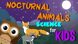 nocturnal animals science for kids