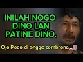 Lagu Nogo dino LAN patine dino(@Mbah Yadi Channel)