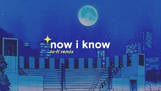 Download Kaleb J - Now I Know (Alphasvara Lo-Fi Remix) MP3