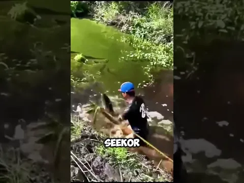 monster rawa manampakan dirinya 😲