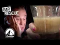 6 of the WORST Bug Infested Bars on Bar Rescue
