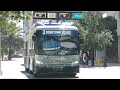 Miami-Dade Transit 2025 New Flyer Xcelsior Charge NG XE60 Route 3 Downtown Miami