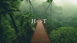the godfathers of deep house sa into the forest nostalgic mix 