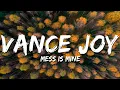 Download Lagu Vance Joy - Mess Is Mine (Lyrics)