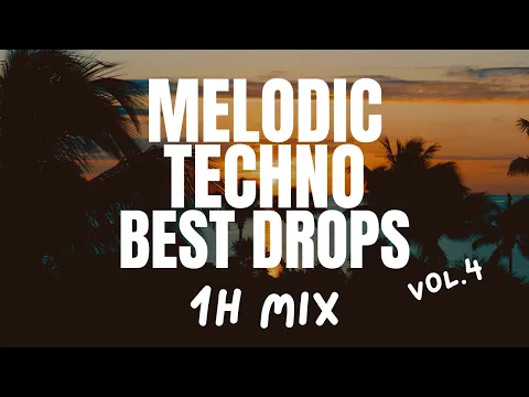 Melodic Techno 2025 ✨ 1 Hour Festival Mix with Best Drops (Vol. 4)