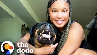 Rottie s Growl Is Actually Pure Happiness The Dodo