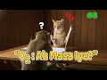 Lagu #008 KOMPILASI KOCAK OYEN, ONYET #kucinglucu  #kucingangoralucu #cat #funnycat