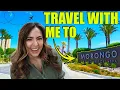 Discover the All-Access Pass to Morongo Casino Travels Slots and Jackpots