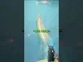 Download Lagu I Accidently Caught A NESSIE On Fisch! ROBLOX