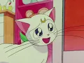 Minako Angry at Artemis ViZ Media Dub