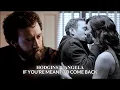 Hodgins Angela If You re Meant to Come Back