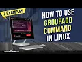 How to Use the groupadd Command in Linux 7 Practical Examples LinuxSimply
