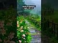 Download Lagu Quran Surah Al-Baqarah 2 | Ayah 145-147 || Urdu translate #quran #shorts #islamic #fojal