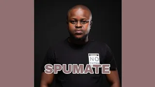 spumante x tyler icu feat marie chan love