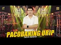 Download Lagu DELVA IRAWAN - PACOBANING URIP | Feat. OM SERA ( Official Music Video )
