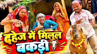 दहेज में मिलल बकड़ी | chuna lal maithili comedy 2026