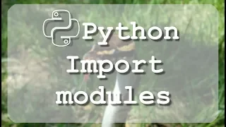 Learn to use Python import module