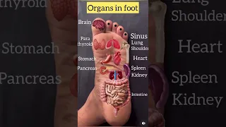 What Is Foot Reflexology Foot Massage And Benefits How To Do Foot Reflexology Step By Step 