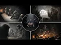 Frostpunk 2 All Faction Announcer Lines Fractured Utopias