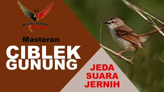 Download MASTERAN CIBLEK GUNUNG || Suara Jernih+Jeda MP3