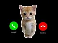 APPLE RINGTONE IPHONE #pro EP.3 #iphone #cat