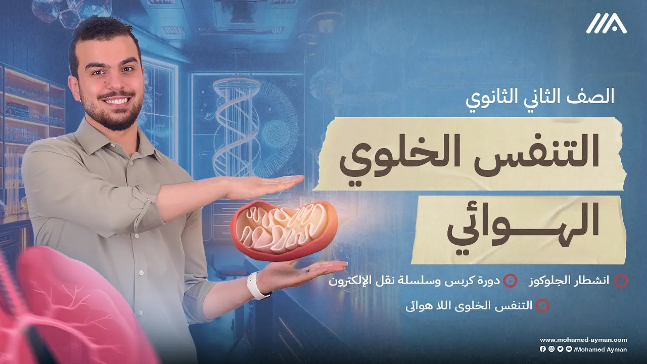 إنشطار الجلوكوز ودورة كربس وسلسلة نقل الإلكترون-المحاضرة قبل الأخيرة 2 ثانوى👀🧡