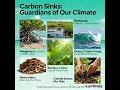 Lagu Music: Carbon Sinks