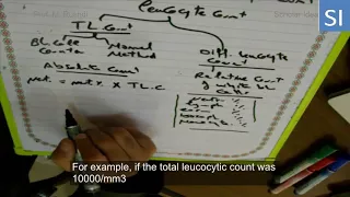Relative and absolute leukocytes counts