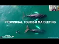 Webinar Tourism Nova Scotia s Marketing Activities Resources for 2025