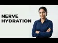 How Does Electrolyte Balance Support Nerve Hydration
