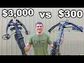 Cheap vs Expensive Crossbows for Hunting