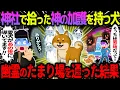 Download Lagu [Slowly Scary Story] A dog with divine protection found at a shrine ends up passing through a gho...
