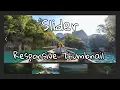 Responsive thumbnail slider using by html css javascript in Hindi 2021