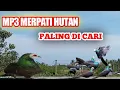 Lagu Suara Pikat Burung Merpati Hutan#mp3 #merpatihutan
