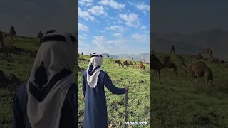 بنت المشاهير لفلاح المسردي بدون موسيقى 