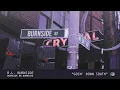 R.L. Burnside - Goin' Down South (Official Audio)