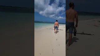 Island Exercise for “WILD” Animals 🐕 🏝️ 💦⛵️ #shorts