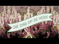 Die dag op de heide