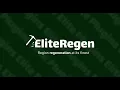 EliteRegen High-Efficiency Block Regeneration Plugin for Minecraft