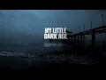 MGMT - Little Dark Age (Lyrics)