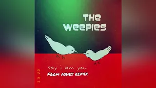 Download The Weepies - Gotta Have You SYNTHWAVE REMIX MP3