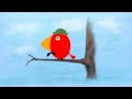 Bird Loop