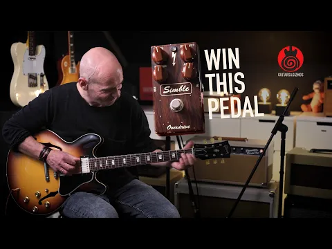 Mad Professor Simble MkII Overdrive | Delicious Audio