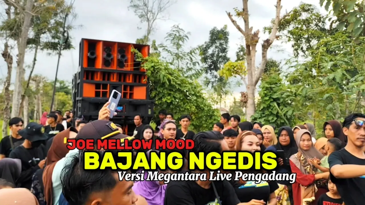 JOE MELLOW MOOD BAJANG NGEDIS // MEGANTARA JOE MELLOW MOOD BAJANG NGEDIS // MEGANTARA