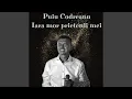 Download Lagu Iara mor prietenii mei