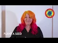 Plant a Seed