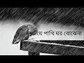 Download Lagu je pakhi ghor bojhena - lyrics | যে পাখি ঘর বােঝেনা -Soft Lyrics | Sudhu Tomar Jonno| Dhruba |