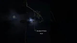 شيرين على بالي اغاني بدون موسيقى 